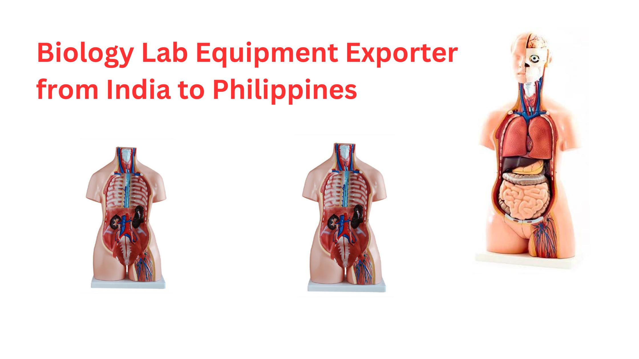 Biology Lab Equipment Exporter from India to Philippines
