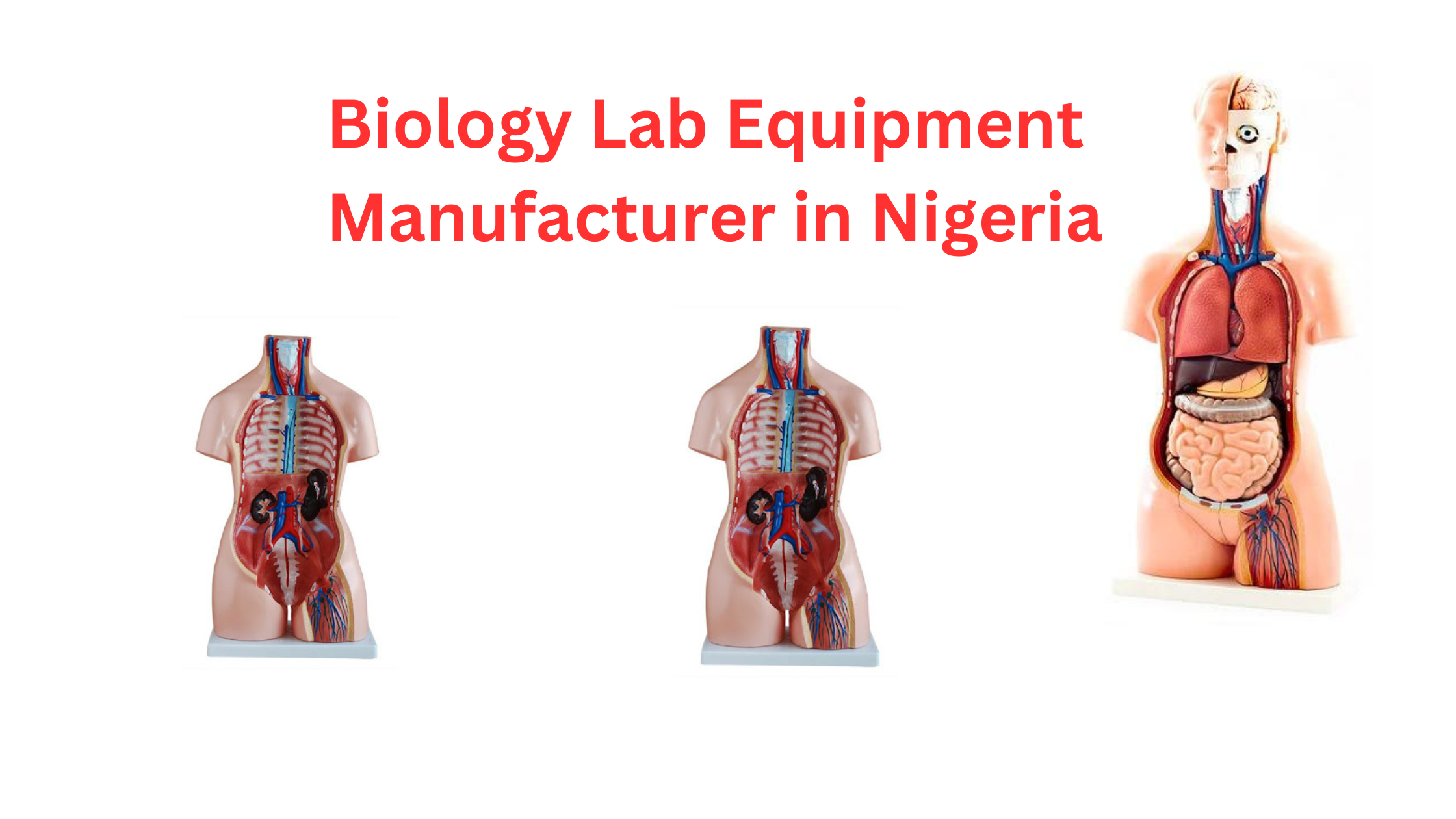 Biology Lab Equipment Manufacturer in Nigeria
