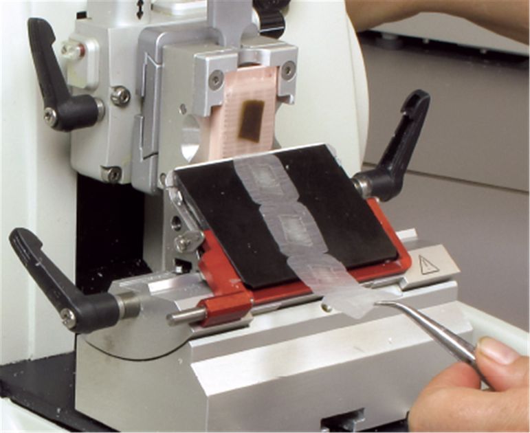 Microtomes And Staining