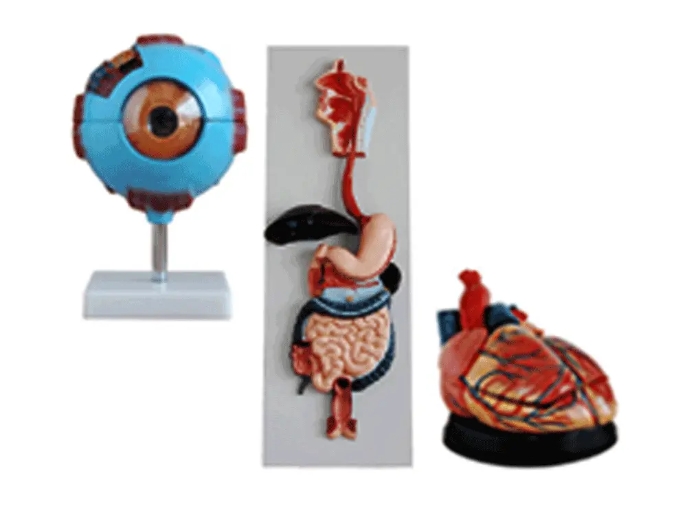biology lab equipment manufacturer