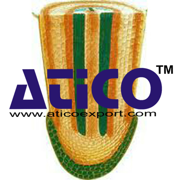 Dicot Root Tip Model