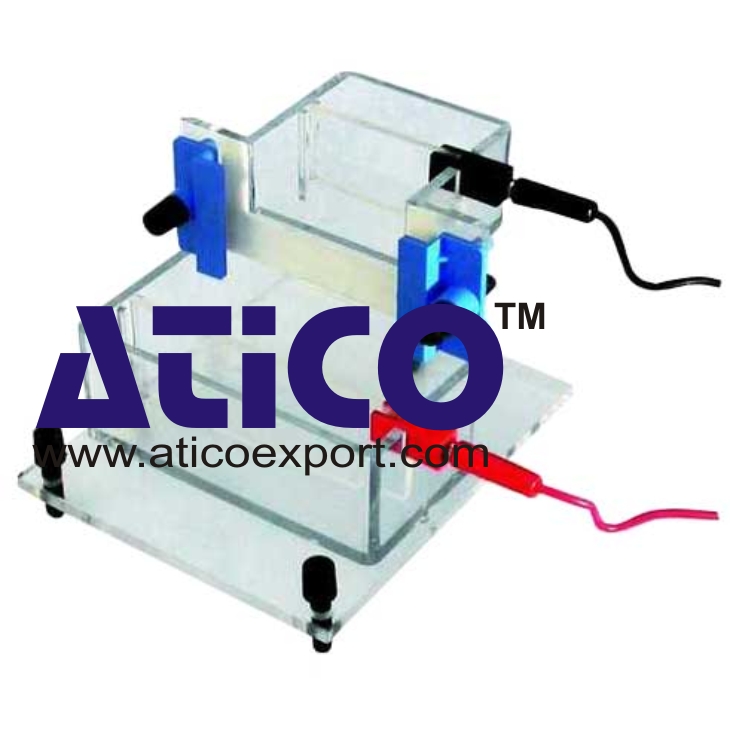 Electrophoresis Vertical- Mini