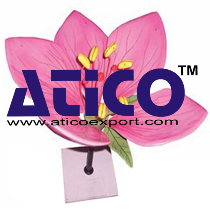 Flower Model