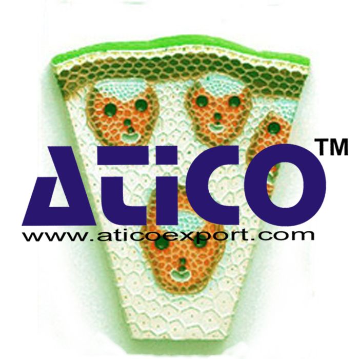 Monocot Stem Ts manufacturers, suppliers and exporters