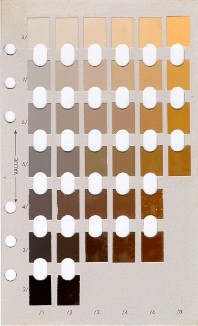 Soil Color Chart