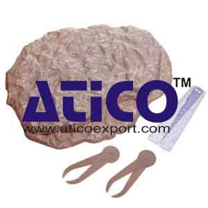 Variation And Evolution Fossil Kit