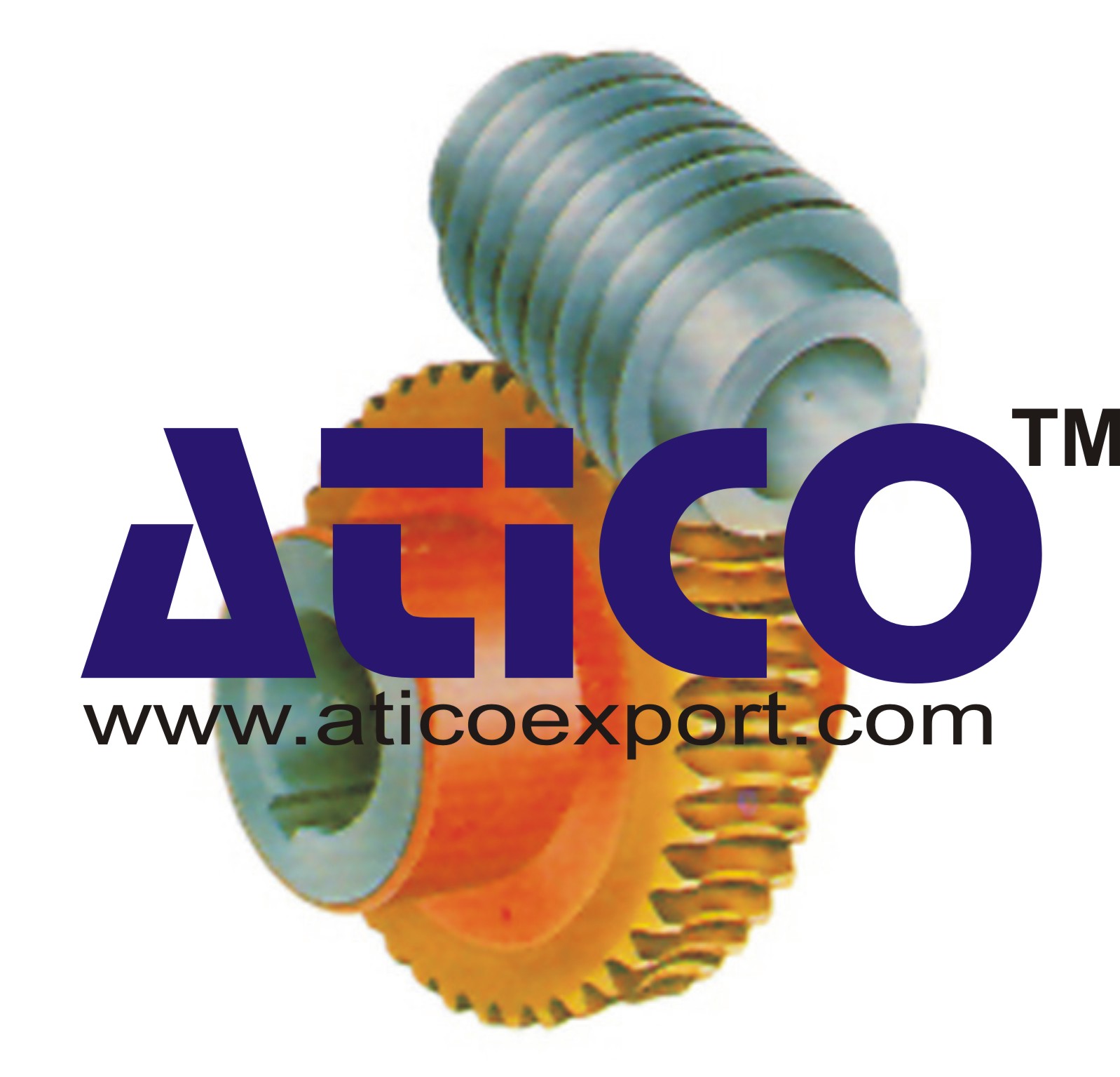 Worm & Worm Wheel