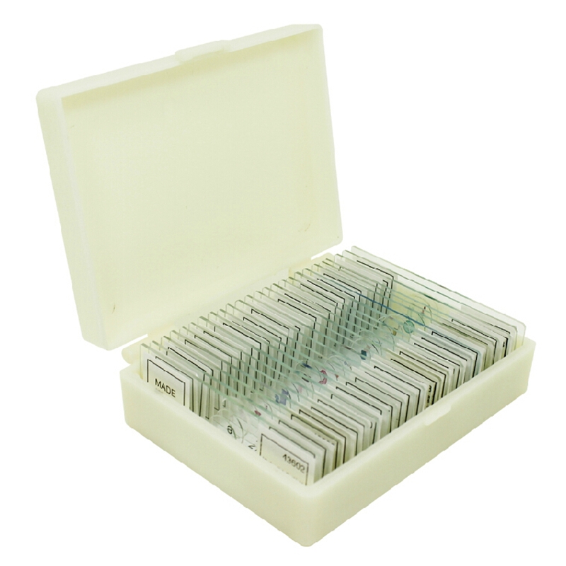 Microslide Boxes manufacturers, suppliers and exporters